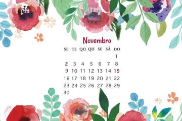 datas especiais de novembro
