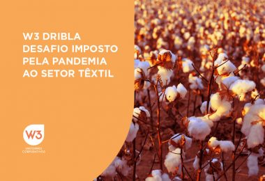 algodão simboliza desafio da pandemia - imagem ilustrativa para texto sobre desafios da pandemia no setor têxtil
